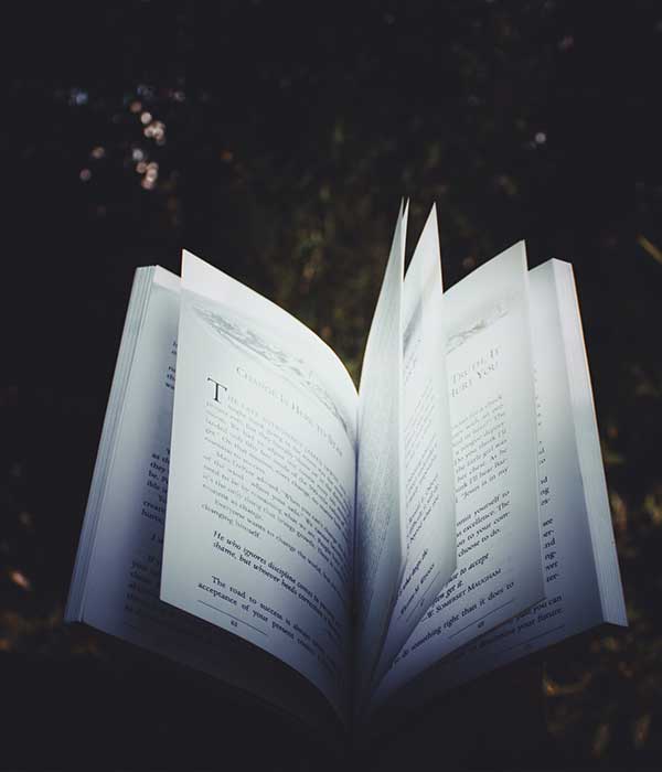 About Me Mystery 2 Free Img